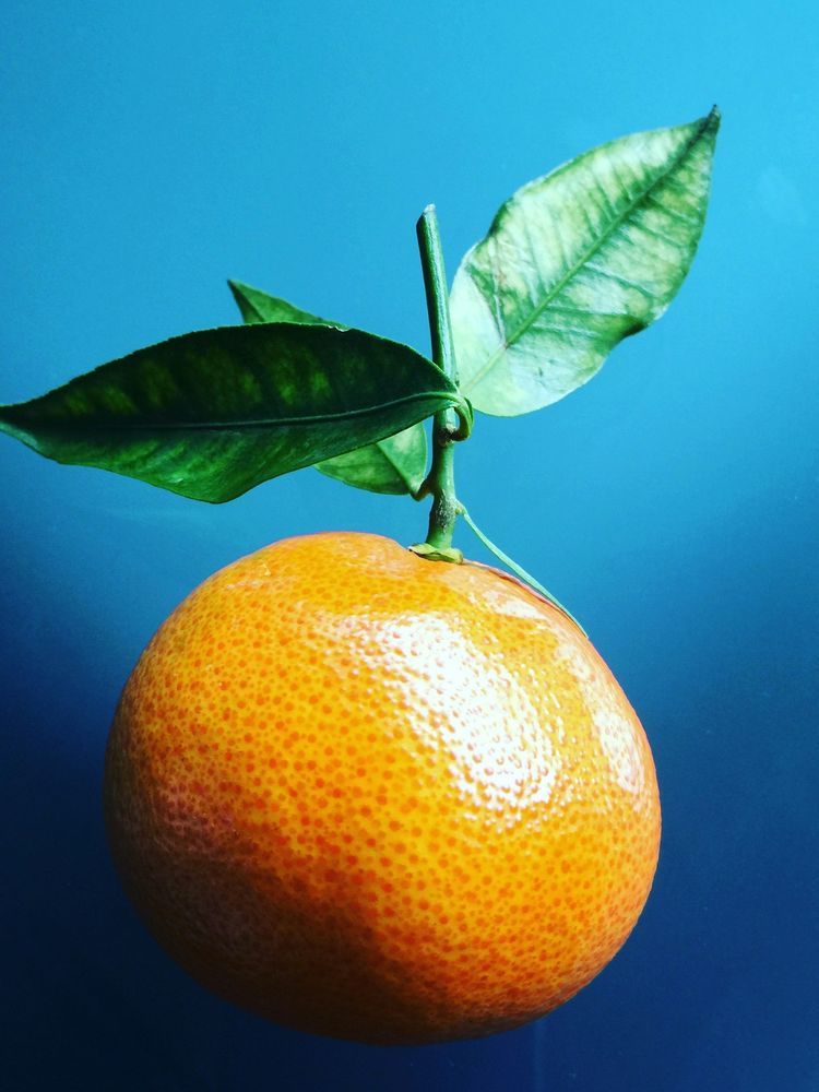 A whole orange with its stem and leaves against blue