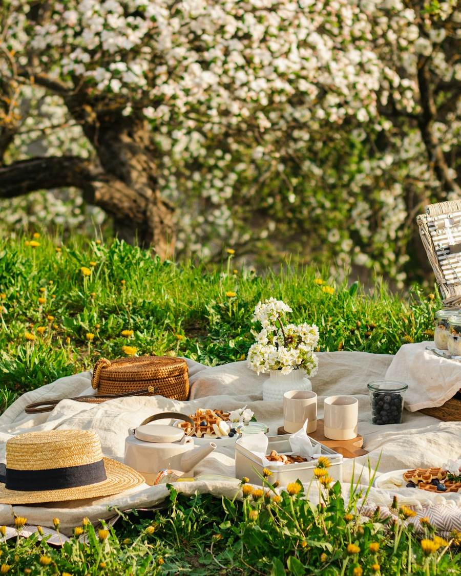 A picnic spread on a blanket under blossoming trees